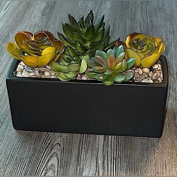 World Market Faux Succulent Arrangement In Ceramic Box-Like New - Picture 1 of 12